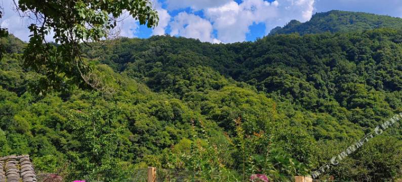 太白鳌山湑水民宿图片