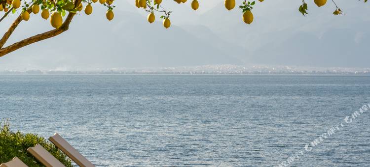 听花堂海景花园美宿(大理洱海天境店)图片