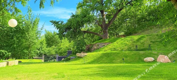 叁生有杏泳池度假民宿(银杏谷店)图片