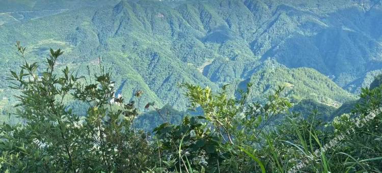 利川山水青城客栈图片