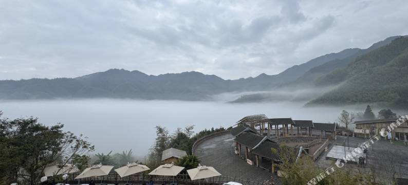 竹林花海民宿(马安竹海景区店)图片