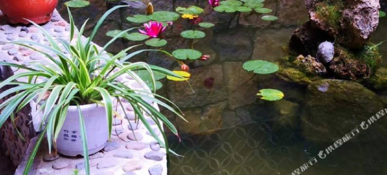 云台山竹韵闲园图片