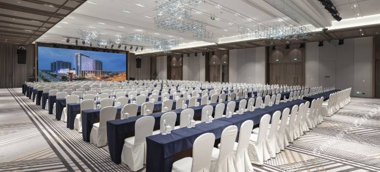 六安新锦成开元名都酒店图片