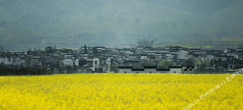 碧山·嘻遇黄山宿·田园亲子民宿图片