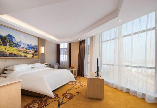 Vienna International Hotel (Ningling Zhanggong Road) Hotel Overview