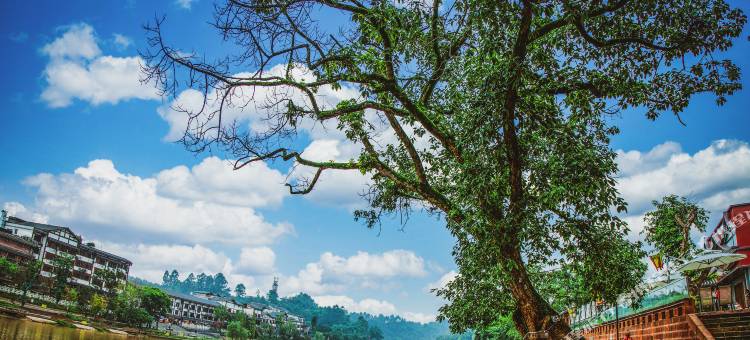 古棠别园精品酒店(苏稽古镇店)图片