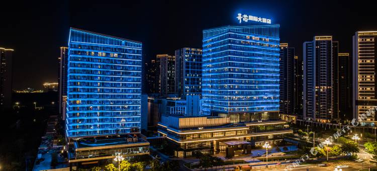 开芯国际大酒店(广州中新知识城旺村地铁站店)图片