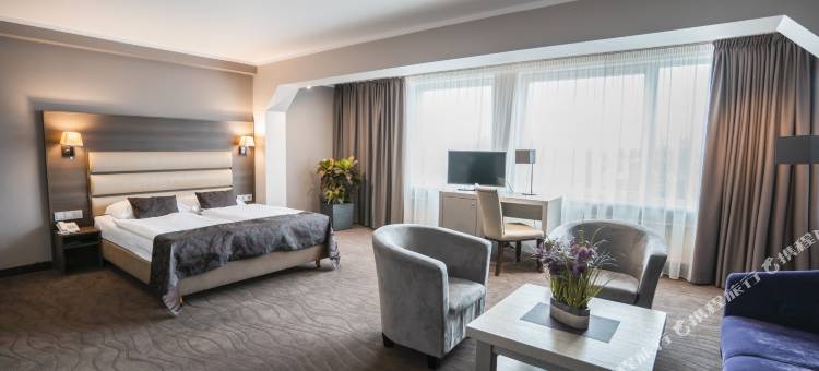里加贝尔维尤公园酒店(Bellevue Park Hotel Riga with Free Parking)图片