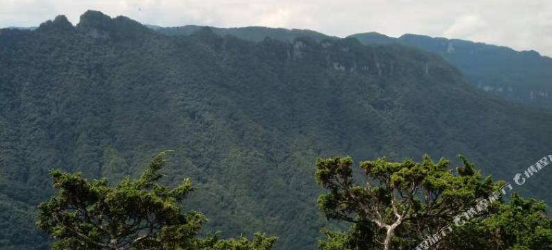 神农架悦轩民宿图片