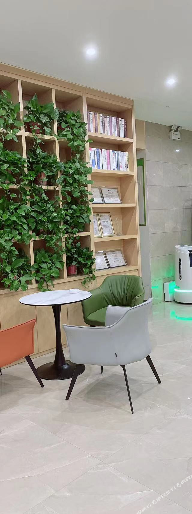 鹿邑酒店推荐|青皮树酒店体验