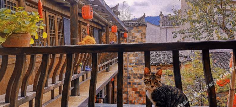 宏村舍得园客栈(宏村景区店)图片