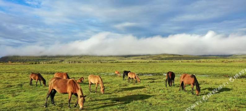 呼伦贝尔额尔古纳草原里部落民宿图片