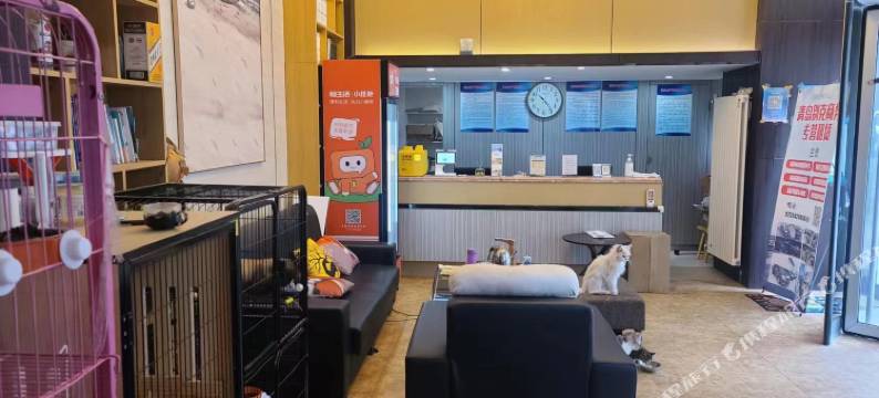 米莱酒店公寓图片