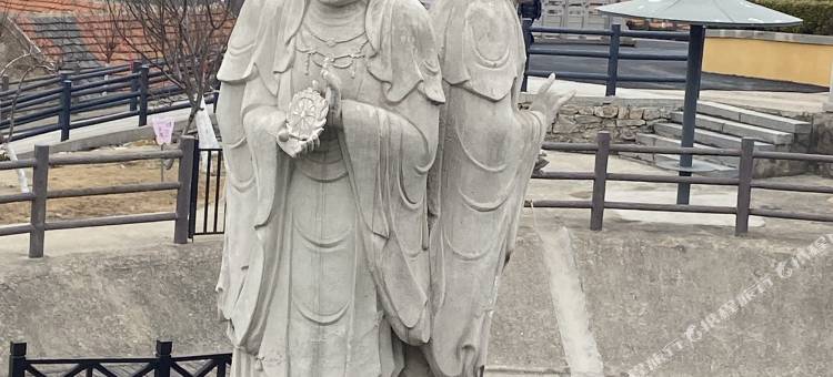 芒果青年客栈图片