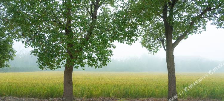 花筑·村田宿民宿(上海崇明新河镇店)图片