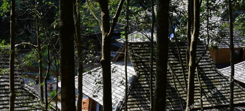 静隐山居环山渡假民宿(嘎洒机场店)图片