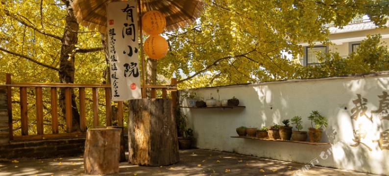 银杏村陈二客栈图片