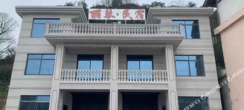 丽琴民宿图片