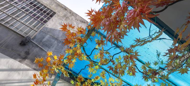 南阳源盈民宿图片