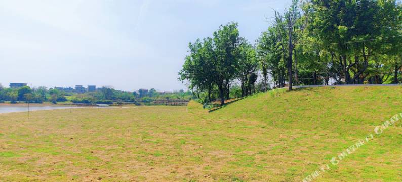 进贤县军山湖民宿图片