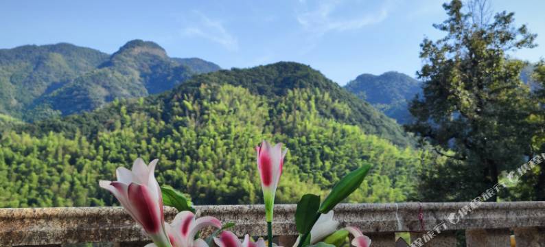 诸暨五泄淳味阁民宿图片