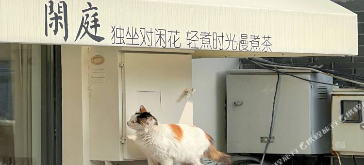 扬州闲庭客栈(东关街个园店)图片