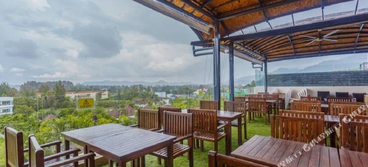 The Aristo by Holy Cow 420图片