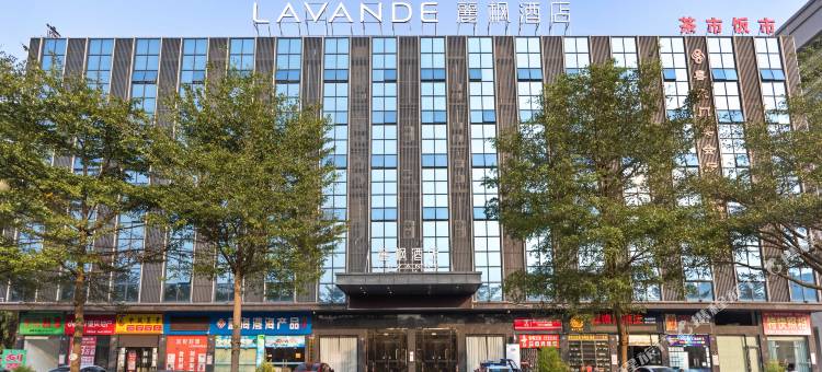 麗枫酒店(茂名电白万达广场店)图片