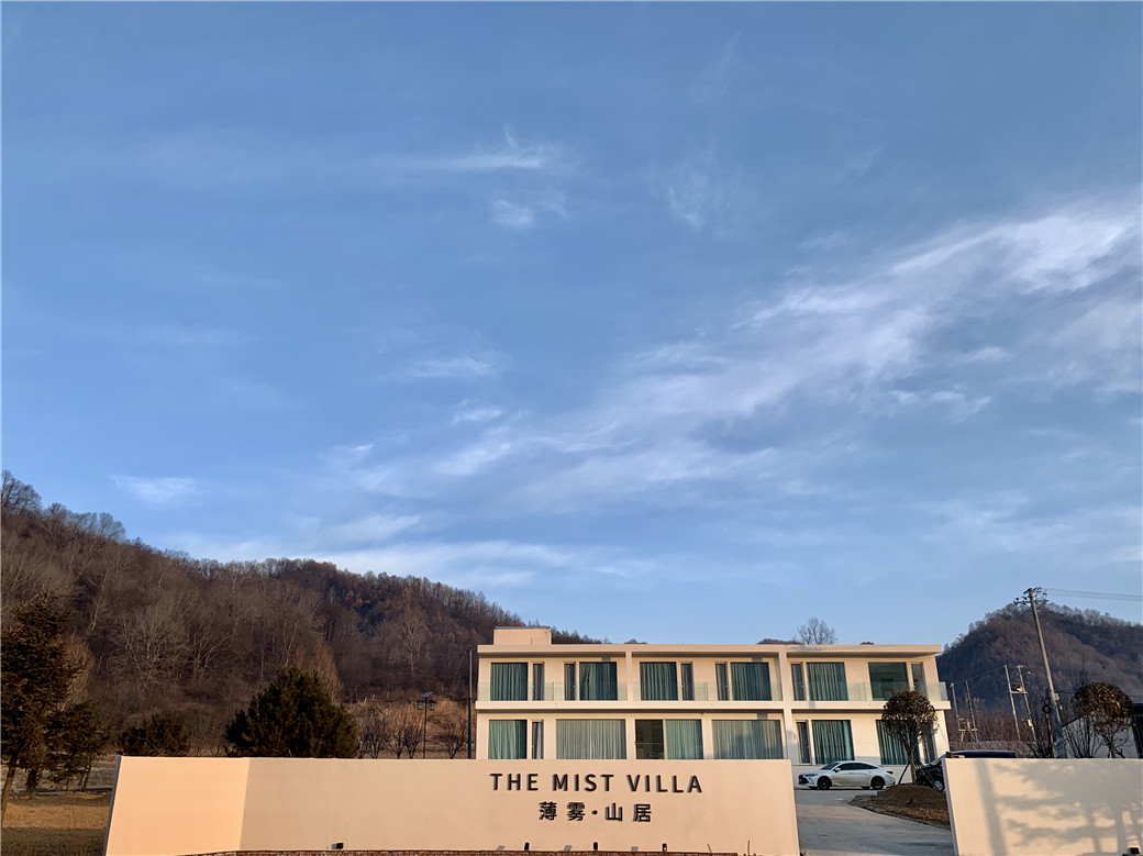 THE MIST VILLAOver view