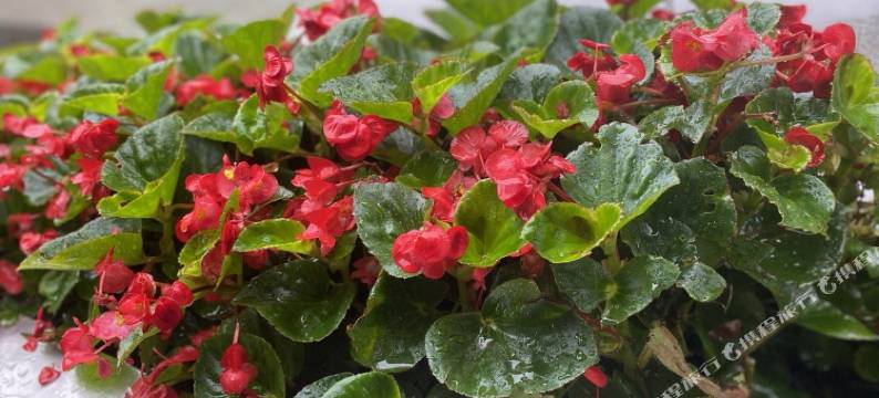 望江锦绣宾馆图片