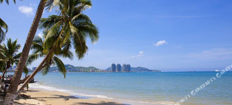 新兴花园大酒店图片