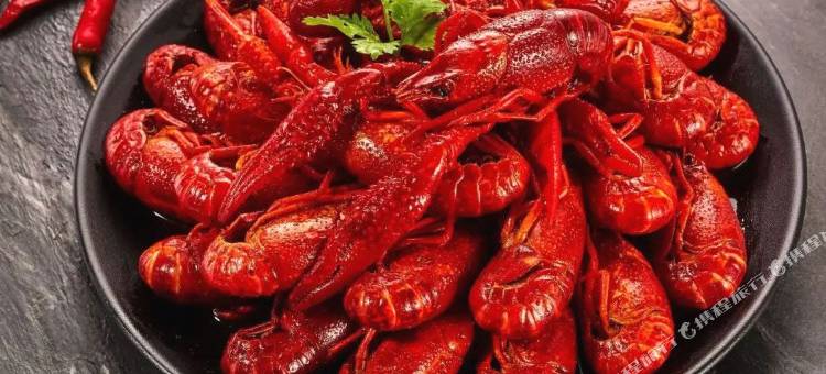 贝壳酒店(日照海滨二路店)图片