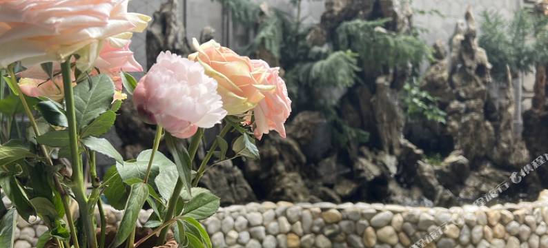 大理双廊润严客栈图片