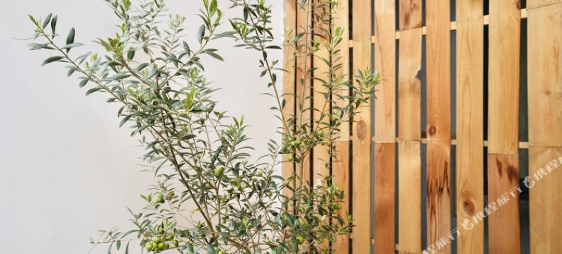 MU风·有野民宿(四川农业大学成都校区店)图片