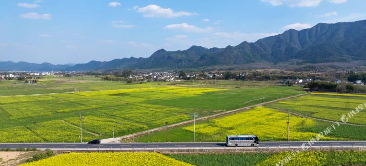 稻里乡村民宿图片