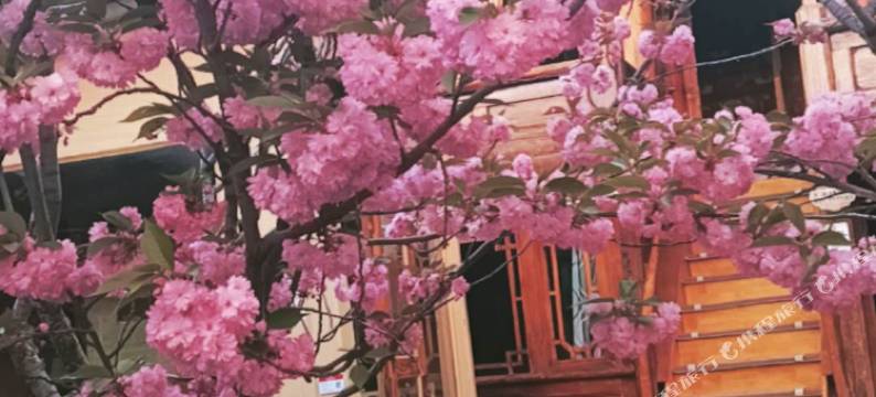 香格里拉倾城一品客栈(月光广场店)图片