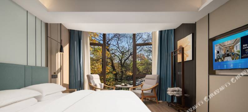 海悦庭院民宿(杭州西湖店)图片