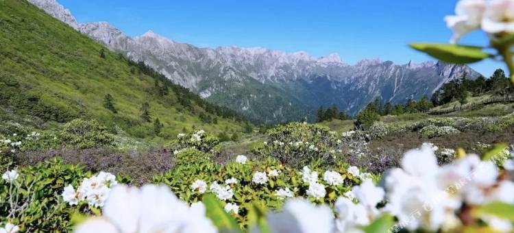 鹅嫚隐庐全季民宿(官鹅沟大景区店)图片