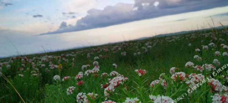 坝上高家大院生态山庄图片