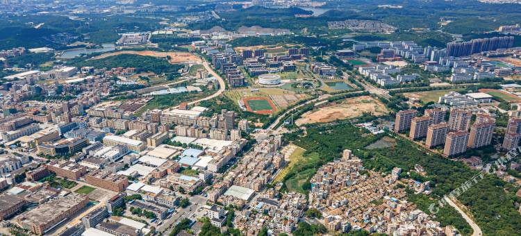 东莞厚街榕树国际酒店图片