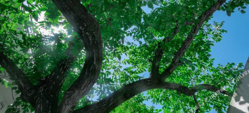 万邦书舍民宿(留坝老街店)图片