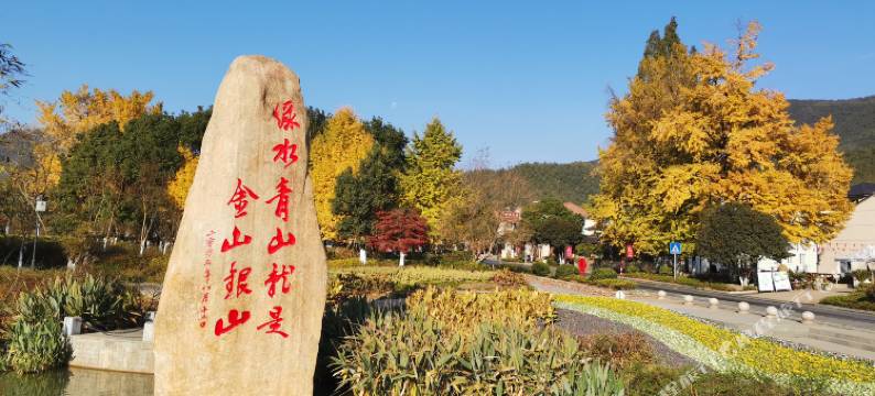 安吉青之恋舍民宿图片