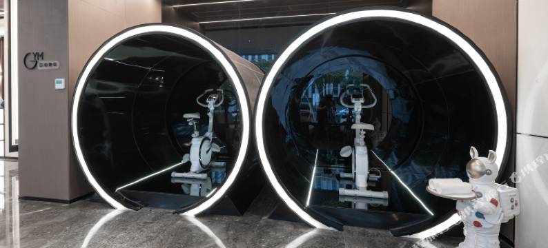 南京明故宫景区苜蓿园大街轻居酒店图片