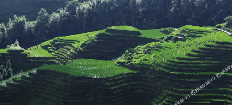 龙脊梯田平安村竹苑民宿图片