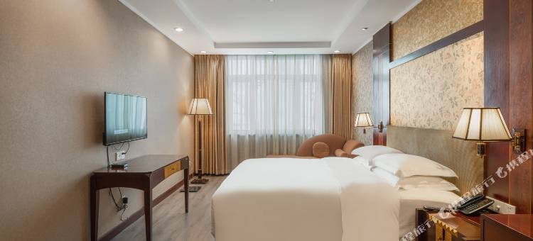 重庆维笙宏声大酒店图片