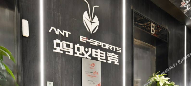 蚂蚁电竞酒店(重庆杨家坪总店)图片