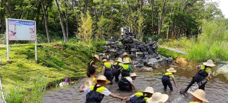 中牟雁鸣蟹岛森林温泉酒店图片