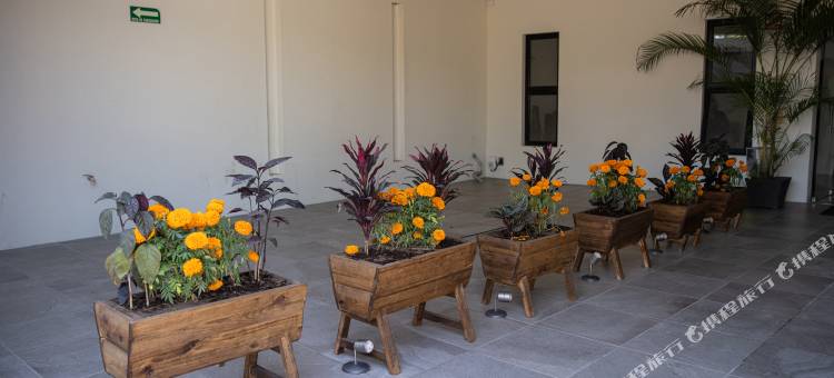 Hotel Casa Jima Agave图片