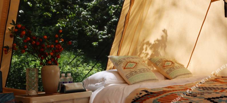 栾川觅野仙踪露营地图片