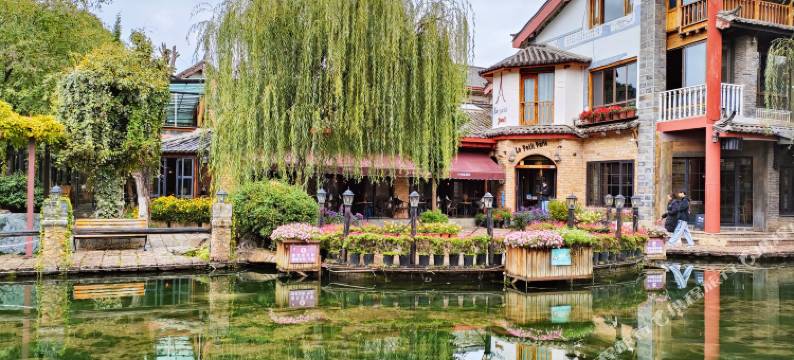 丽江粤心客栈图片